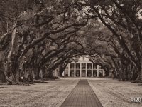 Gardens and Landscapes