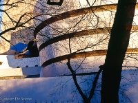 Guggenheim Museum, New York City, photo, exterior
