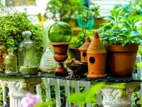 Hudson Garden, Douglasville, Georgia