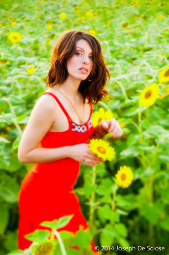 Jenny in the Sunflowers