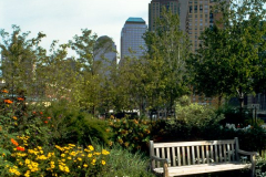 Photo, Twin Towers from Wagner Park, New York City, historical