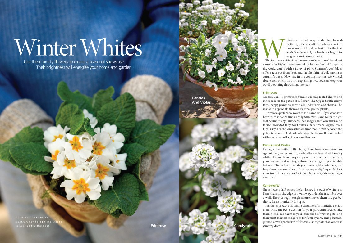 Winter Whites, Southern Living Magazine, January 2008