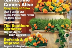 Cover Southern Living Magazine, March 2005, pansies, containers, photograph, Joseph De Sciose