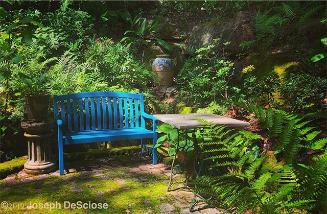 Summer afternoon #commercialphotography #fineartphotography #alabamaphotography #garden #outdoorlivingspace #furniture #peaceful #green