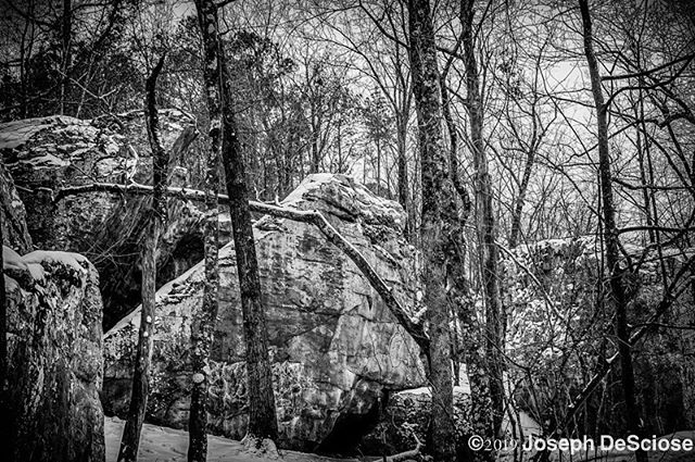 Winter in the boulder field at Moss Rock #alabama #hoover #commercialphotography #fineartphotography #landscapephotography #interiordesign #decorativephotography #nature #peaceful #meditation #trees #native plants #rocks #hard #soft #stadiumtracevillage #the preserve #winter #snow