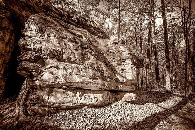 The boulder field at Moss Rock #alabama #hoover #commercialphotography #fineartphotography #landscapephotography #interiordesign #decorativephotography #nature #peaceful #meditation #trees #native plants #rocks #hard #soft #stadiumtracevillage #the preserve #shadows #healthyliving