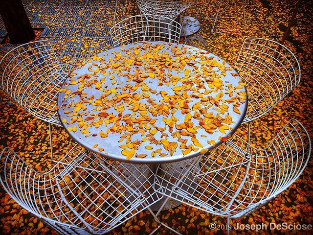 Autumn at the table #autumn #leaves #furniture #outdoorphotography #outdoorfurniture #random #chaos #romance #finartphotography #melancholy #metalfurniture #expectations