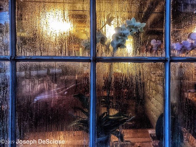 Looking in #windows #condensation #moody#alabama #birmingham #bham #fineartphotography #decorativearts #orchids #dusk #moisture