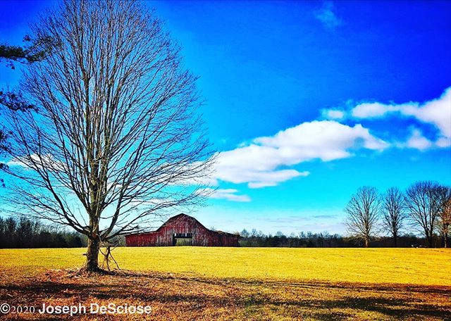 Winter at the farm #barn trees #country #horizon #winter #sky #clouds #field #fineartphotography #decorativearts #seasonal #tennessee
