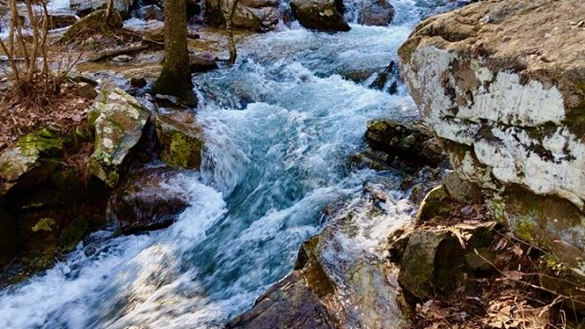 Go with the flow #nature #water #energy #spring #fineartphotography #alabama #waterfall #rocks #outdoor #hikingadventures